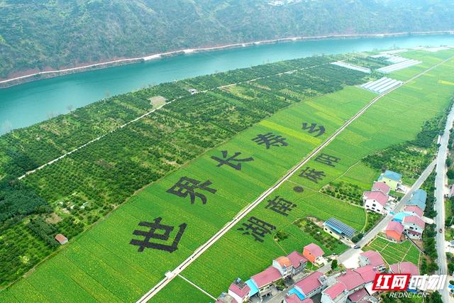 村游好去处！2024年怀化十大“文旅网红打卡村”公布
