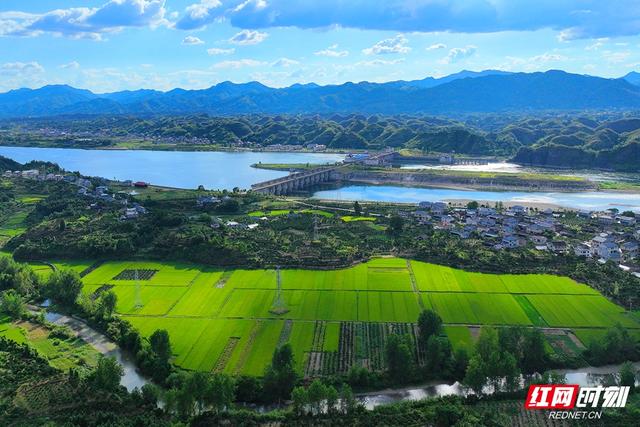 村游好去处！2024年怀化十大“文旅网红打卡村”公布