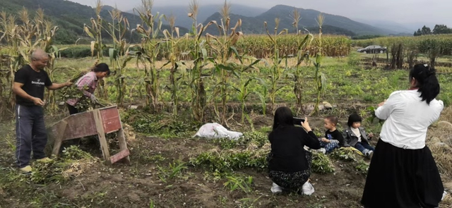 远离喧嚣！这个藏在山间的度假山庄，才是南宁人真正的“世外桃源”