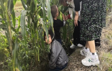 远离喧嚣！这个藏在山间的度假山庄，才是南宁人真正的“世外桃源”