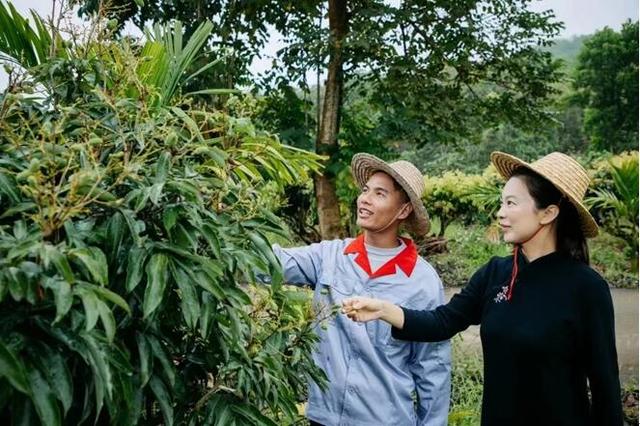 儋州嘉禾共享农庄：探索热带特色高效农业高质量发展新路径