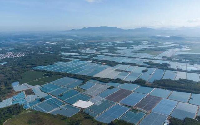 儋州嘉禾共享农庄：探索热带特色高效农业高质量发展新路径