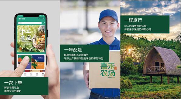 儋州嘉禾共享农庄：探索热带特色高效农业高质量发展新路径