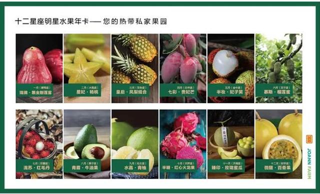 儋州嘉禾共享农庄：探索热带特色高效农业高质量发展新路径