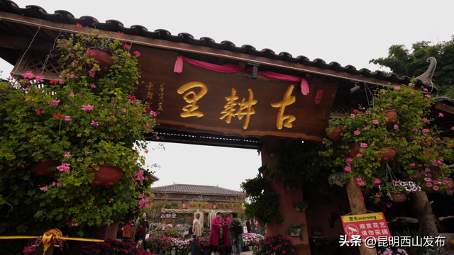 文旅产业升级 · 团结这家网红农家乐火出圈了