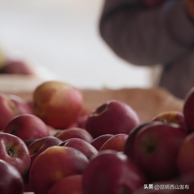 文旅产业升级 · 团结这家网红农家乐火出圈了