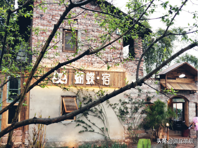 操盘人亲诉 | 70亩网红农庄，融入教育、露营、美学元素的升级之路