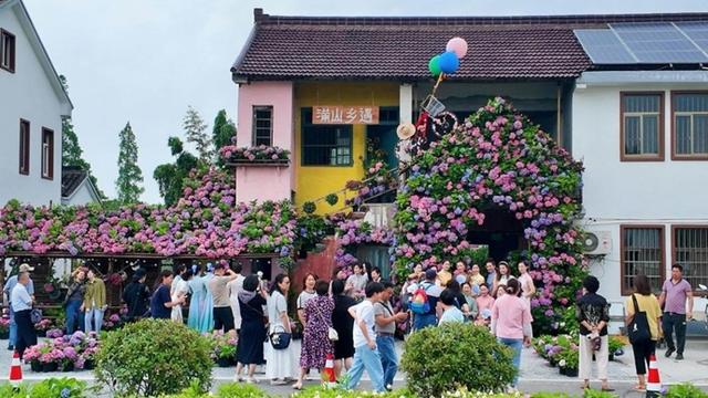 “看见中国·青浦”对话练塘：农文旅商体展融合打造“长三角三色赋能高地”