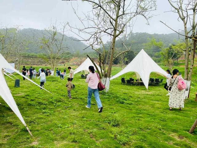踏青探春 | 向春天出发！厦门人最喜欢去的生态农庄，我在这里找到了！