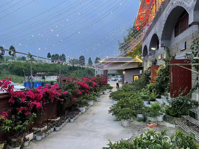 【自造“新”年范】网红地标+休闲农庄，内江人的悠然都藏在这里了！